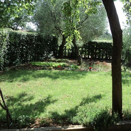 Apartment Martina بيوغْغاد نا موغو المظهر الخارجي الصورة