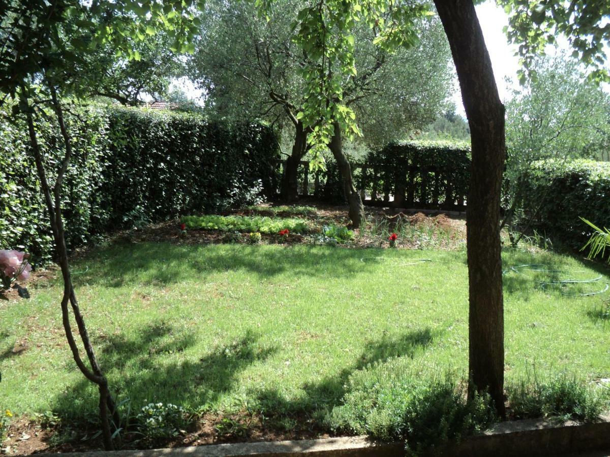 Apartment Martina بيوغْغاد نا موغو المظهر الخارجي الصورة