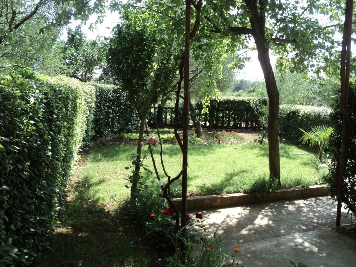 Apartment Martina بيوغْغاد نا موغو المظهر الخارجي الصورة